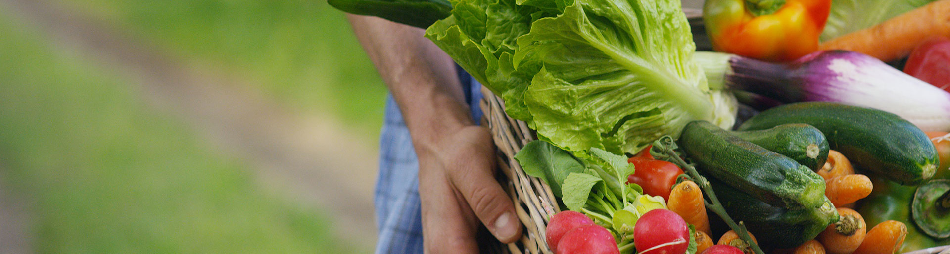 Fruits et légumes frais et de saison à Crépy 